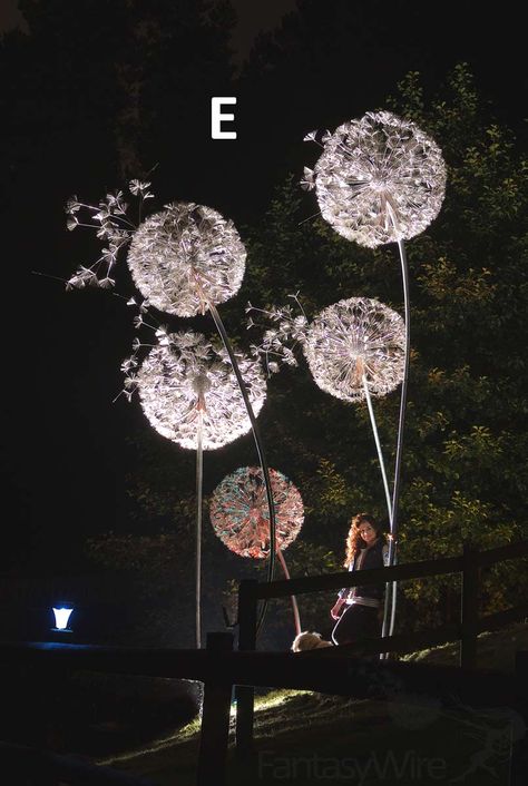 Our Garden Dandelions are 2M tall and sold separately.With the garden range all dandelions are hand made out stainless steel, with full or partial heads and the choice of flowing blown away seeds. Robin Wight, Sculpture Metal, Charming Garden, Steel Sculpture, Light Sculpture, Garden Art Sculptures, Cool Ideas, Wire Sculpture, Scrap Metal Art