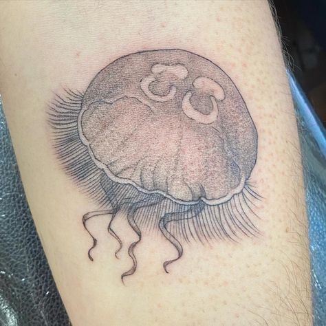 Jellyfish And Stingray Tattoo, White Tattoo Jellyfish, Moon Jelly Fish Tattoo, Moon Jelly Tattoo, Moon Jellyfish Drawing, Moon Jellyfish Tattoo, Jellyfish Tattoo Black And Grey, Jellyfish Tattoo Big, Moon Jellyfish Art