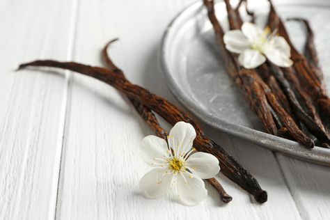 8 Genuis Ways to Use up Your Leftover Vanilla Bean Pods Pisces And Taurus, Vegan Perfume, Bean Pods, Mini Rolls, Roll On Perfume, Roll On Bottles, Niche Perfume, Fragrance Diffuser, Perfume Oil