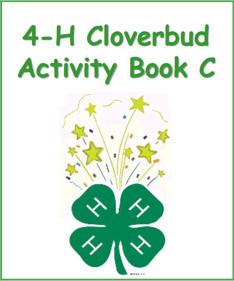 4-h Pledge Activities, Clover Bud 4h Projects, 4 H Cloverbud Project Ideas, 4h Cloverbud Activities, 4h Meeting Activities, Cloverbud 4h Projects, Cloverbuds 4-h Activities, 4h Cloverbud, 4h Activities