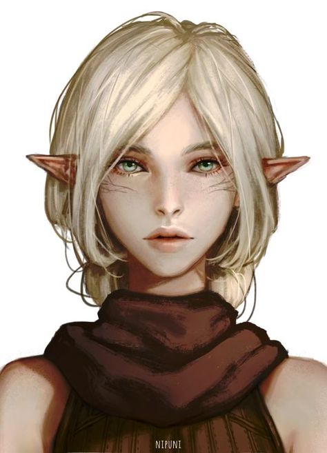 Weiblicher Elf, Elf Characters, Female Elf, Elf Art, Dragon Age Inquisition, Fantasy Races, Dungeons And Dragons Characters, Arte Fantasy, 판타지 아트