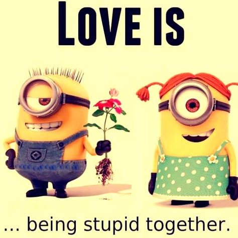 Minion Love Quotes, Cute Minion Quotes, Minions Images, Minions Humor, Funny Minion Memes, Minion Pictures, Minion Jokes, Minions Love, Cute Minions