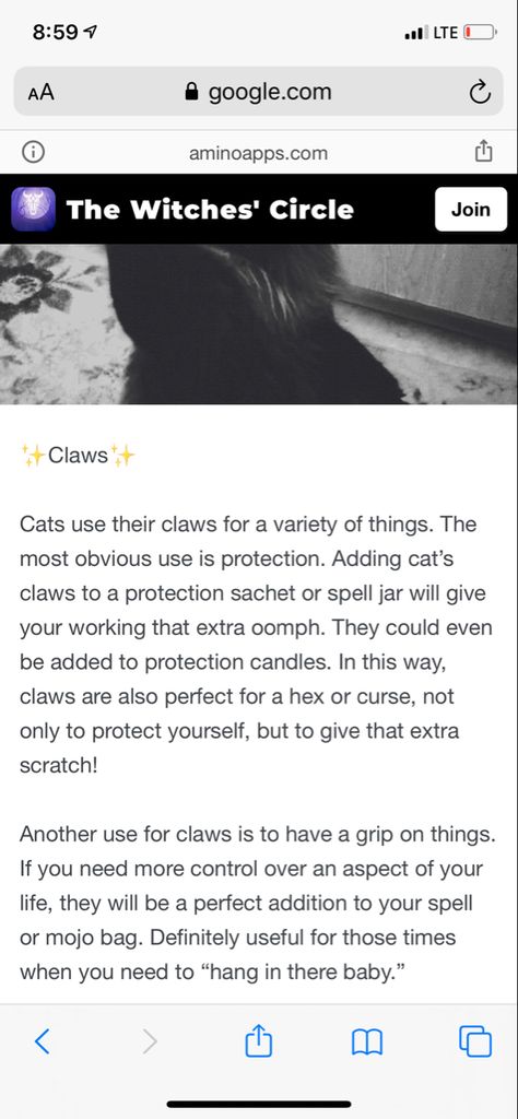 Cat Claws In Witchcraft, Cats Claw Magical Properties, Cat Claws Witchcraft, Witchcraft Diy, Spell Books, Witch Stuff, Woo Woo, Eclectic Witch, Cat Info