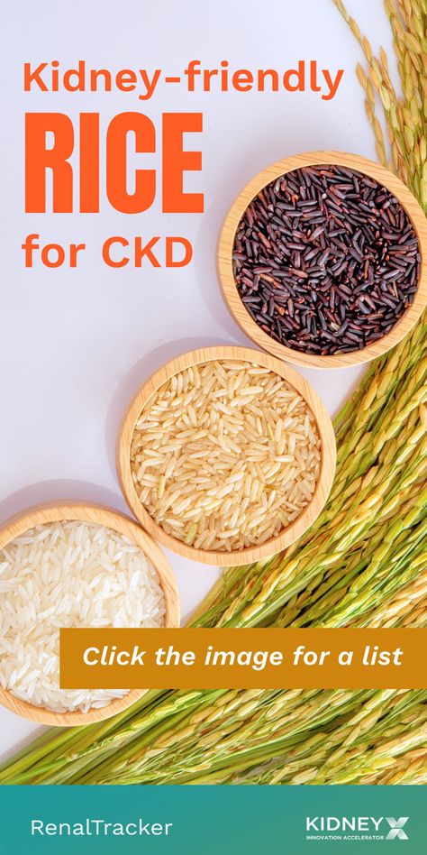 Unlocking the secrets of kidney-friendly rice: From CKD rice cakes to mouthwatering recipes, learn how simple dietary adjustments can make a world of difference in managing kidney disease. Click the image for a list of kidney-friendly rice for renal diet. Renal Diet Food List, Renal Friendly Recipes, Ckd Recipes, Kidney Friendly Recipes Renal Diet, Making Healthy Choices, Renal Diet Recipes, Kidney Friendly Foods, Recipes Learn, Renal Diet