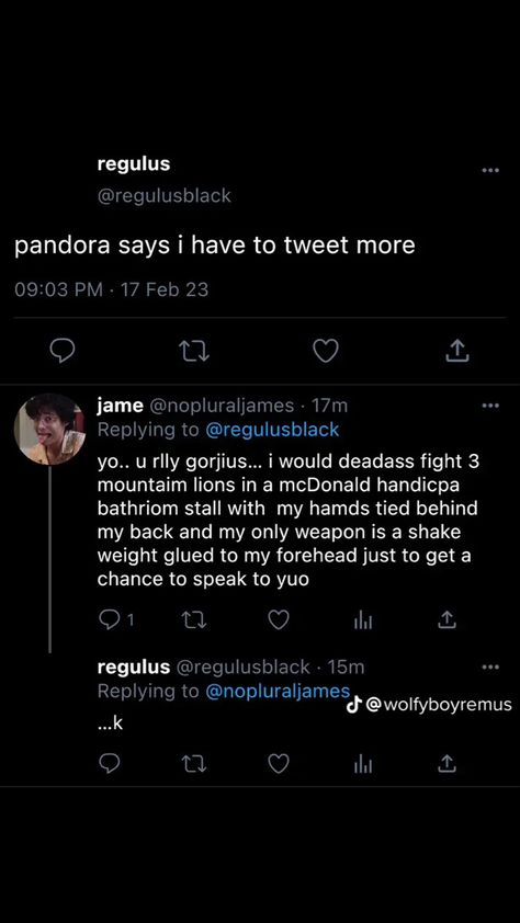 Jegulus Fame Au, Jegulus Tweets, Marauders Incorrect Tweets, Marauders Tweets Jegulus, Harry Potter Tumblr Posts The Marauders, Marauders Fan Art, Peter Pettigrew, Gay Harry Potter, Draco Harry Potter