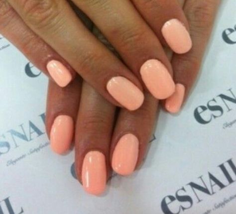 Spring/summer nails pastel orange Spring Nails Neutral Shades, Light Peach Nails, Spring Toe Nail Colors Pedicures, Popular Acrylic Nail Designs, Pink Nail Dip, Uñas Color Coral, Summer Nail Colors 2023, Spring Nails 2020, Vacation 2023