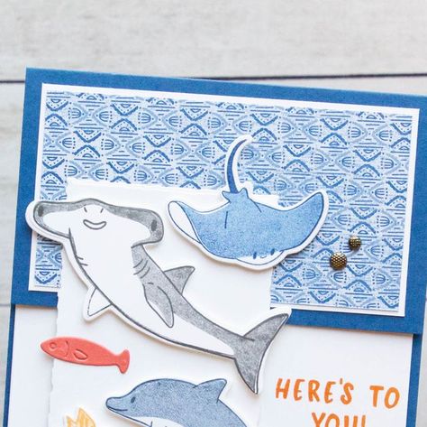 Melissa Faust, Papercrafter & Card Maker on Instagram: "Here's one more card made with the Friendly Fins bundle.  Because this is such a fun bundle, we have to have a fun fold card!! Check out my live video from June 11 to see how I put this card together!  I wanted to feature ALL of the adorable animals on this card - the Stingray, Hammerhead Shark and Dolphin! Ooh, and the Fishies too!! 🐟  #stampwithmelissa #stampinup #handmade #greetingcard #makeityourself #crafty" Ocean Birthday Cards Diy, Shark Birthday Card, Shark Diy, Dolphin Fin, Shark Gifts, Homemade Birthday Cards, Beach Cards, Hammerhead Shark, My Live