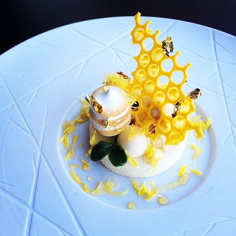 Honey, lemon, ginger. Stunning dessert by @dgranjalop !👏👏👏👏👏 Art Of Plating, Weight Watcher Desserts, Food Plating Techniques, Fine Dining Desserts, Plating Ideas, Ginger Honey, Honey Ginger, Plating Techniques, Lemon Honey