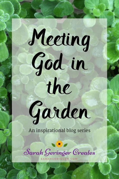 In my gardens, I feel a pull toward heaven. I truly enjoy meeting God in the garden and I hope you do as well. #garden #gardening #faith #inspiration Gardening Quotes Inspirational, Bible Garden, Well Garden, Spiritual Garden, Tattoo Plant, Prayer Garden, Connecting With Nature, Small Backyard Ideas, Aesthetic Garden