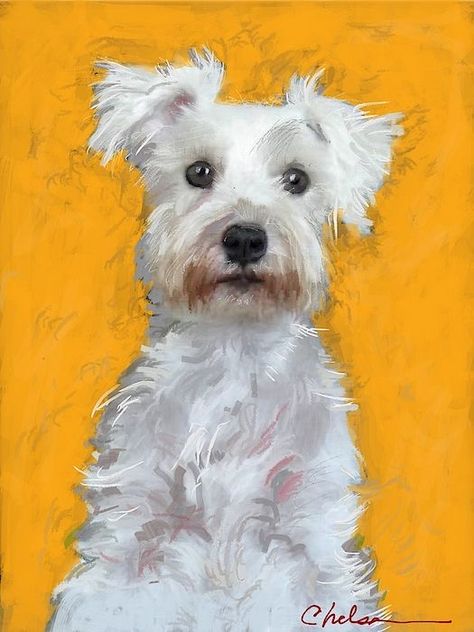 White Dog Painting, Schnauzer Drawing, White Schnauzer, Schnauzer Mix, Schnauzer Art, Dog Portraits Art, Miniature Schnauzer Puppies, Custom Pet Art, Puppy Art