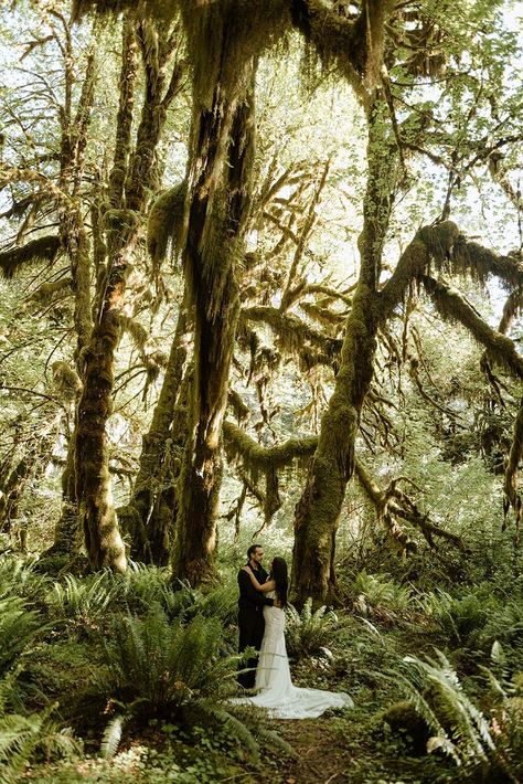 Couple standing in mossy forrest Wedding In Washington State, Washington Wedding Venues Outdoor, Washington Coast Wedding, Pnw Wedding Decor, Washington State Wedding, Pnw Elopement, Washington Wedding Venues, Snoqualmie Falls, Forest Elopement