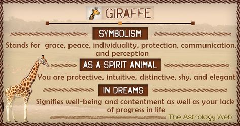 What Does a Giraffe Symbolize The spiritual meaning of a giraffe, the placid power animal, is anything but ordinary. Also called ‘Africa’s gentle giant’, the giraffe symbolizes grace, peace, individuality, protection, communication, perception, and farsightedness. Having a Giraffe as Your Spirit Animal (Totem Animal) If the giraffe is your totem animal, it signifies your majestic … Giraffe Spirit Animal, Giraffe Tattoo Meaning, Giraffe Spiritual Meaning, Giraffe Spirit Animal Meaning, Giraffe Symbolism, Meditation Signs, Giraffe Meaning, Giraffe Quotes, Spirit Animal Meaning