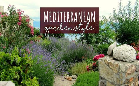 Mediterranean Garden Style: Planting, Landscaping and Design Advice for Any Space (Complete Guide) - Pretty Purple Door Mediterranean Backyard, Purple Flowering Plants, Emerald Green Arborvitae, Naturalistic Garden, Purple Flowers Garden, Meditation Garden, Asian Garden, Gravel Garden, Perennial Shrubs