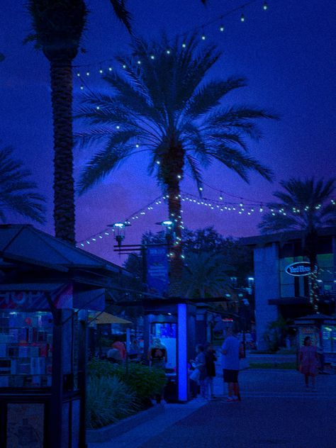 Late-Night Vibe in Miami Beach Leigh Core, Vintage Miami Aesthetic, Miami Night Aesthetic, Night Blue Aesthetic, Black And Blue Wallpaper, Miami Night, Beach Night, Homescreen Layout, Miami Vice