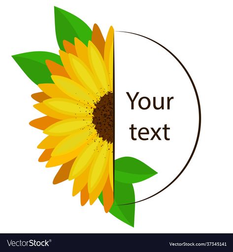 Half Sunflower, Frame Download, Text Frame, Transparent Png, High Res, Png Images, Adobe Illustrator, Sunflower, Vector Images