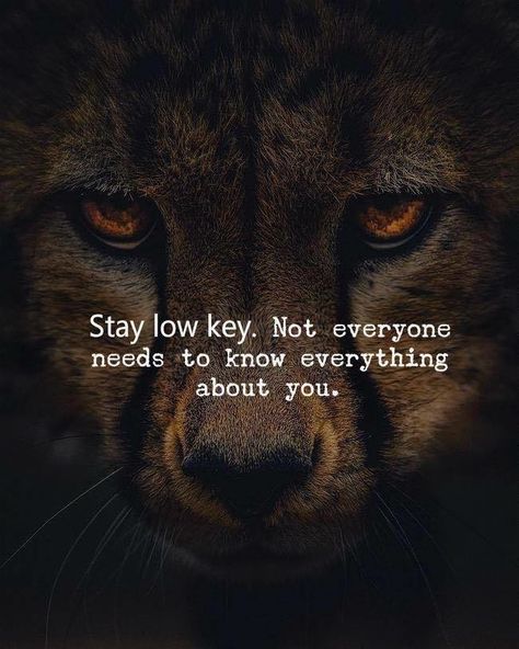 Stay Positive In Life on Instagram: “👉 I highly recommend you to follow @lawofattraction.thesecret GOOD VIBES ONLY 😍” Entrepreneur Quotes Mindset, Lion Quotes, Wolf Quotes, Quotes Instagram, Warrior Quotes, Best Inspirational Quotes, Instagram Life, Uplifting Quotes, Entrepreneur Quotes