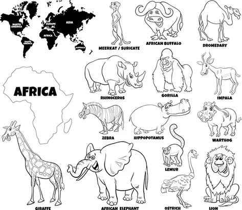 World Map With Continents, European Animals, Geography Themes, World Map Continents, Africa Craft, Wild Animals Vector, Baby Jungle Animals, Animals Coloring Pages, Educational Illustration