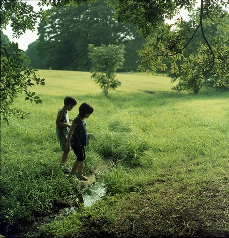 Summer day Alphonse Elric, Last Day Of Summer, Future Life, The Grass, Country Life, Farm Life, Childhood Memories, Dream Life, Last Day