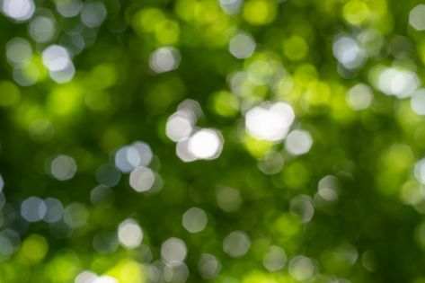 Natural bokeh background with leaves, tr... | Premium Photo #Freepik #photo #background #pattern #abstract-background #abstract Natural Bokeh Background, Peaceful Backgrounds, Mushroom Background, Plains Landscape, Blur Image Background, Blurred Lights, Blur Photography, Blur Photo Background, Photo Background Images Hd