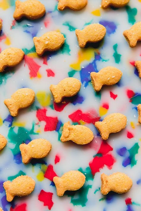 These gluten and dairy-free goldfish crackers are the nostalgic childhood snack of your dreams! They're easy and fun to make, and are totally grain free. Freezer Desserts Recipes, Aip Cookies, Nostalgic Childhood, Gluten Dairy Free, Goldfish Crackers, Best Gluten Free Recipes, Cute Snacks, Allergy Free Recipes, Homemade Snacks