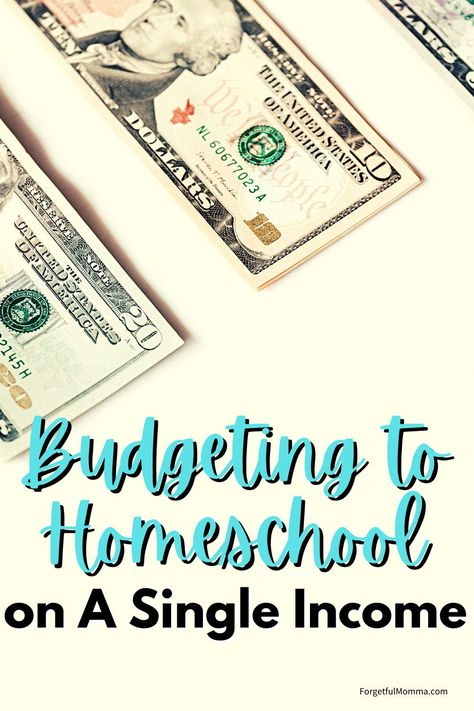 Because homeschooling is important to us, it is completely worth budgeting to homeschool on one income. Homeschool Budget, Easy Lesson Plans, Christian Homeschool Curriculum, Kindergarten Homeschool Curriculum, Total Money Makeover, Free Homeschool Resources, Money Makeover, Homeschool Encouragement, Homeschool Schedule