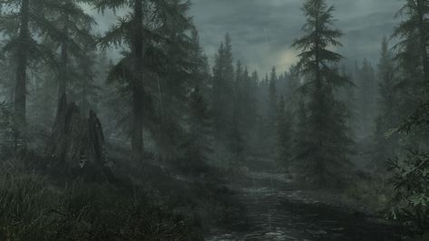 Falkreath Skyrim, Skyrim Werewolf, Skyrim Quotes, Darker Shades Of Magic, Fantasy Moodboard, Irish Myths, Skyrim Wallpaper, Tes Skyrim, Dream Walker