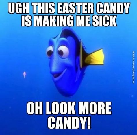 23 funny Easter memes to make you happy - Care.com Resources Easter Memes, Broke Meme, Easter Puns, Happy Easter Funny Memes, Happy Easter Funny, Funny Jesus Easter Memes, Egg Memes Funny, Bunny Poster, Easter Bunny Memes Funny