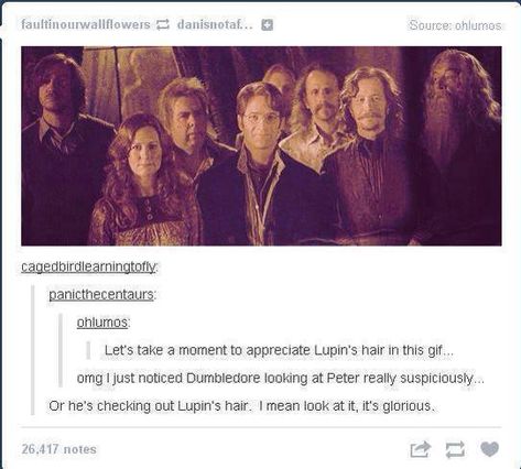 Potterness - Imgur Every harry potter tumblr post It's glorious Yer A Wizard Harry, Film Anime, Harry Potter Jokes, Harry Potter Marauders, Harry Potter Love, Remus Lupin, Harry Potter Books, Harry Potter Obsession, Wizarding World Of Harry Potter