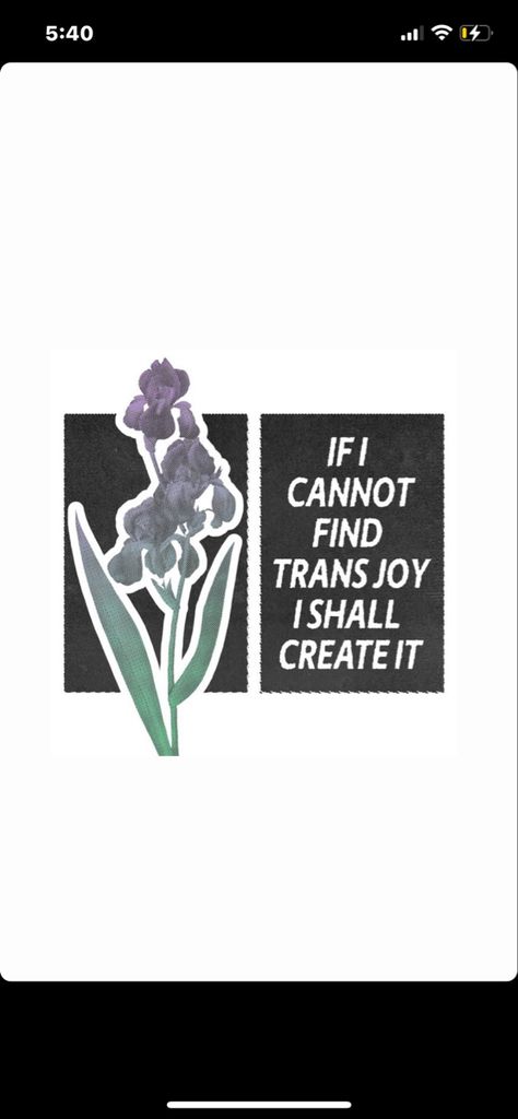 Lavender print riso graph with the words “If I cannot find trans joy, I shall create it” Gender Euphoria Art, Trans Poster, Trans Party, Trans Activism, Sneet Snart, Tboy Swag, Trans Aesthetic, Trans Things, Gender Euphoria