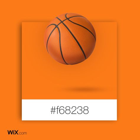 Color Palette Inspiration | Athlete's  Orange | #f68238 Wix Inspiration, Brand Theme, Brand Colors Inspiration, Gradient Color Design, Wix Website Design, Color Palette Inspiration, Poster Idea, Sherwin Williams Colors, Palette Inspiration