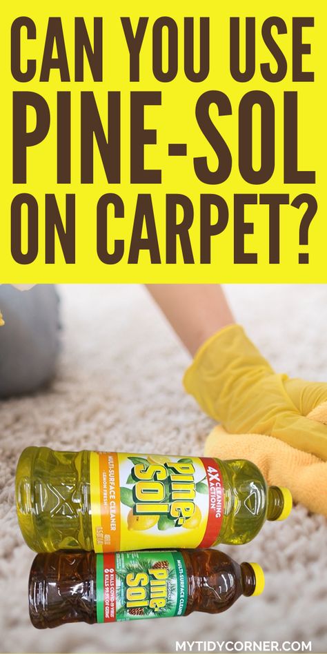 So, can you use Pin-Sol on carpet? Find out if you can use Pine-Sol on carpet and if yes, how to use it properly. Pine Sol Uses, Pine Sol Hacks, Pine Sol Cleaning, Cleaning Naturally, Pine Sol, Carpet Diy, Carpet Smell, Clean Carpet, Diy Carpet Cleaner