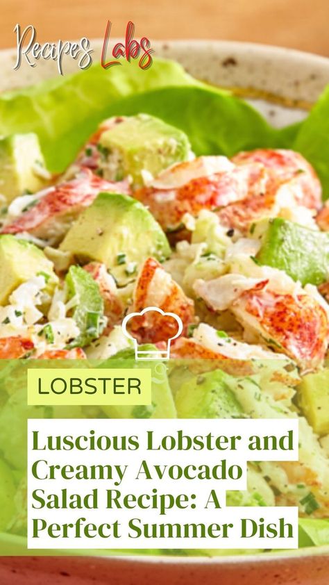 Luscious Lobster and Creamy Avocado Salad Recipe: A Perfect Summer Dish Summer Dishes Recipes, Light Summer Meals, Lobster Recipes Tail, Crab Meat Recipes, Barbeque Recipes, Lobster Salad, Avocado Salad Recipes, Summer Meal, Lobster Recipes