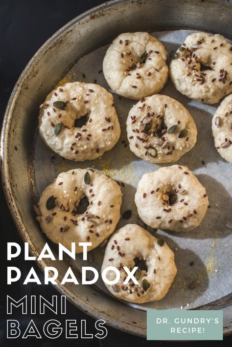 Plant Paradox Food List, Dr Gundry Recipes, Lectin Free Foods, Raw Granola, Plant Paradox Diet, Lectin Free Diet, Mini Bagels, Lectin Free, Plant Paradox