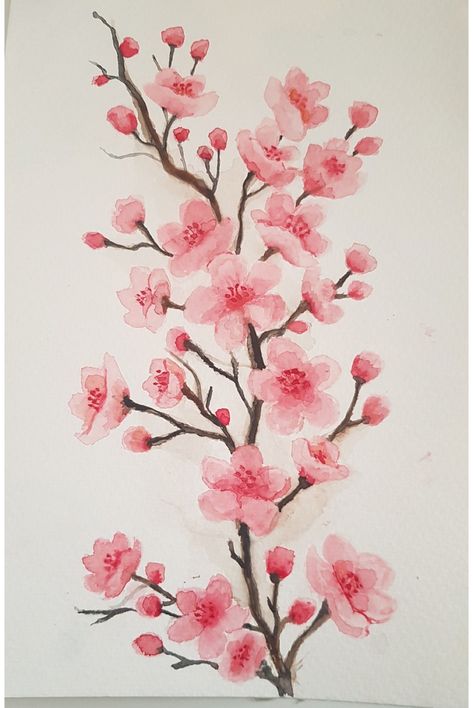 Color Pencil, Colored Pencils, Cherry Blossom, Blossom, Cherry, Pencil, Color, Art, Coloured Pencils