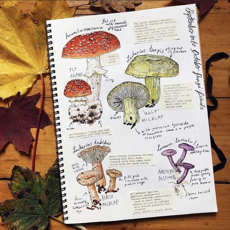 Botanical Sketchbook, Nature Sketch, Art Journal Therapy, Sketchbook Art Journal, Sketchbook Pages, Mushroom Art, Tropical Art, Sketchbook Inspiration, Nature Journal