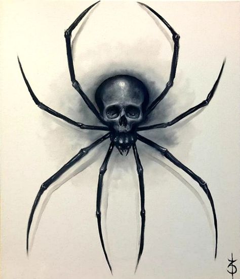 Spider Skull Spider Skull, Spider Drawing, Spider Web Tattoo, Hair Stenciling, Skull Hand Tattoo, Skull Spider, Arte Occulta, Spider Design, Web Tattoo