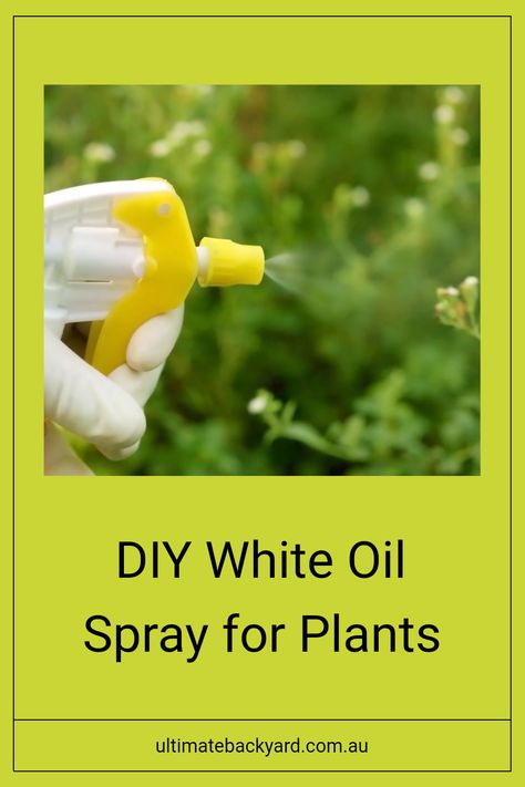 If you're looking for an easy way to care for your plants, try making your own white oil spray. All you need is dishwashing liquid and sunflower oil, perfect for tackling pests and keeping your greenery healthy. This environmentally friendly option empowers gardeners to manage pest troubles without harsh chemicals. For a complete step-by-step guide and more helpful tips on plant care, check out the full article. Ultimate Backyard, Plants Diy, Attracting Beneficial Insects, Best Shakes, Neem Oil, Beneficial Insects, Dishwashing Liquid, Applied Science, Diy Landscaping