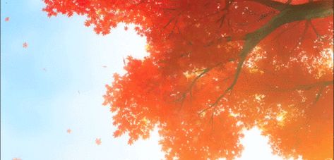 Red Maple Tree, Gif Background, Anime Places, Animated Banners, Anime Gifs, Banner Gif, Header Banner, Anime Gifts, Aesthetic Gif