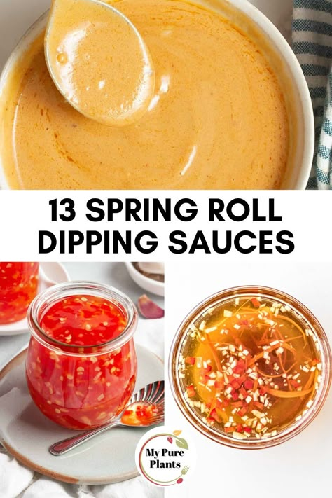 Healthy Egg Roll Sauce, Summer Rolls Sauce Recipe, Different Spring Roll Recipes, Spring Roll Dipping Sauce Recipe, Spring Roll Dipping Sauce Gluten Free, Spring Roll Dumplings, Fresh Spring Rolls Sauce, Thai Spring Roll Dipping Sauce, Spring Roll Filling Recipes