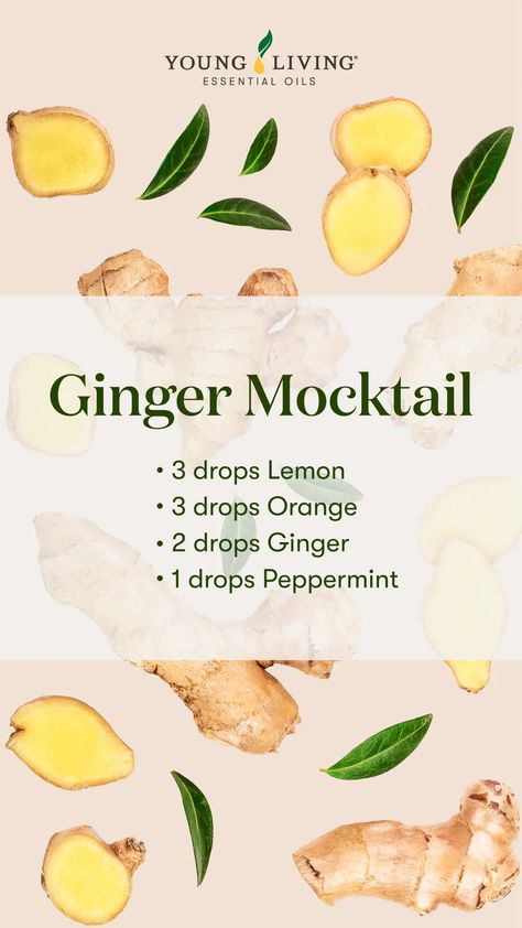 Ginger essential oil: The spice of life | Young Living Blog Sweet Meatballs, Nutmeg Essential Oil, Essential Oil Diffuser Blends Recipes, Sesame Ginger, Ginger Essential Oil, Ginger Oil, Oil Diffuser Recipes, Yl Essential Oils, Essential Oil Blends Recipes