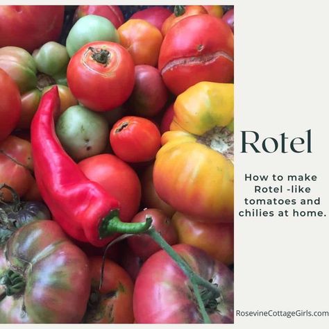 Best Copycat Rotel Tomatoes and Chilies Recipe How To Make Rotel, Stewed Tomato Recipes, Salsa Canning Recipes, Canning Tomatoes Recipes, Yellow Tomatoes, Canning Jar Lids, Ancho Chili, Rotel Tomatoes, Water Bath Canning