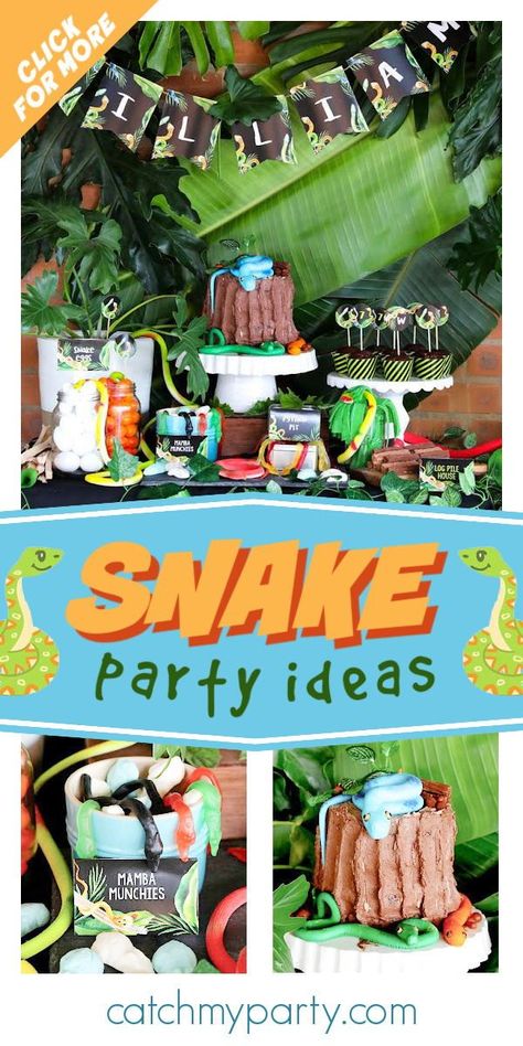 Check out this awesome snake-themed jungle party! The cake is so cool! See more party ideas and share yours at CatchMyParty.com Snake Party Food Ideas, Snake Birthday Party Food, Snake Themed Food, Reptile Birthday Party Food, Snake Party Food, Snake Birthday Party Ideas, Snake Party Ideas, Reptile Birthday Party Ideas, Reptile Party Food