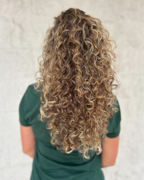 Curly babe 🤍✨ . . . #highlights #highlightshair #lowlights #lowlightshair #lowlightsandhighlights #cutcorrection #cutcorrection💇 #curlycuts #longwoodfloridahair #longwoodfloridahairstylist #alteregohair Highlights And Lowlights, Low Lights Hair, Alter Ego, Low Lights, Hair Stylist, Highlights, Hair, Quick Saves