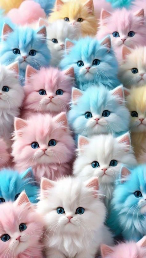 Cat Phone Wallpaper, Iphone Wallpaper Cat, Kitten Wallpaper, Android Wallpaper Art, Iphone Wallpaper Stills, 3d Quilling, Images Kawaii, Phone Wallpaper Pink, Pretty Phone Wallpaper