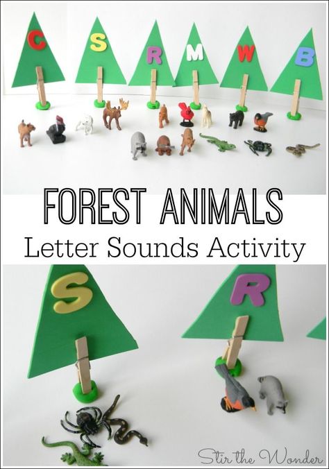 This Forest Animals Letter Sounds Activity is a fun, hands-on way for preschoolers to learn the sounds of the letters! Forest Animals Preschool, Letters Activity, Forest Preschool, Diarama Ideas, Letter Recognition Games, Forest Animals Theme, Letter Sound Activities, Literature Activities, Animals Forest