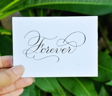 Forever Calligraphy, Forever Is A Lie, Calligraphy Writing Styles, Art Letters, Calligraphy Writing, Copperplate Calligraphy, Always Forever, How To Write Calligraphy, The Twilight Saga