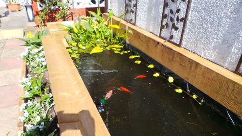 New raised Pond made from new pine railway sleepers Koi Pond Backyard, Raised Pond, Garden Pond Design, Railway Sleepers, Pond Ideas, Aquaponics System, Pond Design, Backyard Deck, Garden Pond