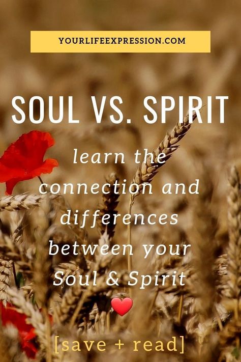 Want to know the differences between your Soul and Spirit? They are intimately connected yet difference. I'll explain it all in this article. Check it out! |spiritual development| intuition development #spiritual #soul Soul Vs Spirit, Soul And Spirit, Spiritual Business, Life Path Number, Spiritual Development, Abundant Life, Spiritual Wisdom, Spiritual Guidance, Life Path