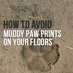 Want to put an end to those muddy paw prints on your floors? Artificial grass is the perfect one-time, long term solution! Learn more from our blog. http://www.heavenlygreens.com/blog/how-to-avoid-muddy-paw-prints-on-your-floors @heavenlygreens Muddy Dog Paw Solutions, Muddy Backyard Solution Dogs, Muddy Dog, Dog Remedies, Dog Yard, Paw Cleaner, Pet Paw Print, Muddy Paws, Paw Pads