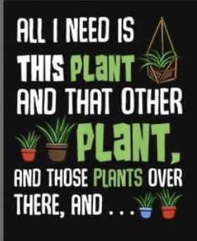 Mystical Quotes, Plant Humor, Gardening Signs, Plant Jokes, Garden Quotes Signs, Gardening Memes, Garden Puns, Gardening Quotes, Garden Works